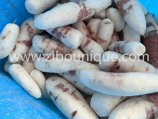 Máquina de peeling de mandioca para linha contínua de peeling de vegetais de raiz em grandes lojas de alimentos