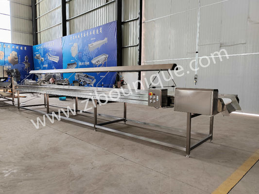 220v/ 380v de aço inoxidável 304 Nut Seleção de conveyor para máquina de triagem de passas
